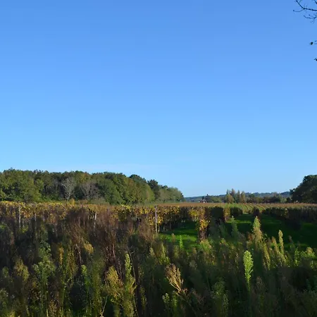 Сasa de vacaciones Maison De Maitre - Proche De Saint Emilion Gardegan-et-Tourtirac