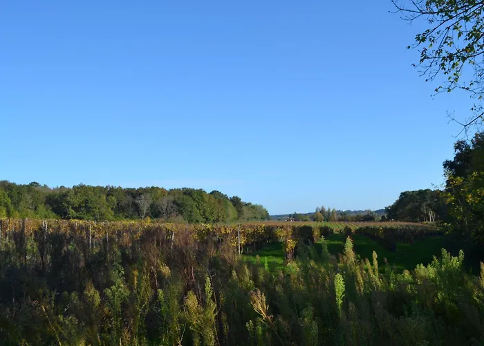 Дом отдыха Maison De Maitre - Proche De Saint Emilion Gardegan-et-Tourtirac
